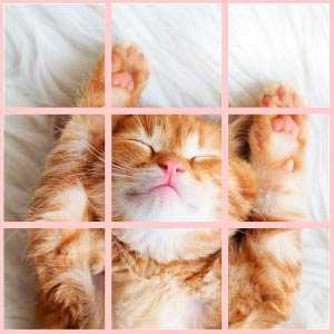 Super Cute Puzzle