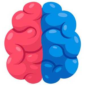Left vs Right: Brain Games for Brain Training