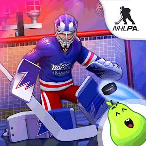 Puzzle Hockey