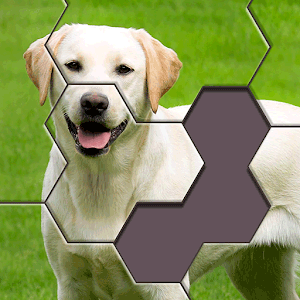 Hexa Jigsaw Puzzle