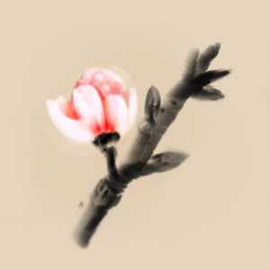 Download Mirages of Winter