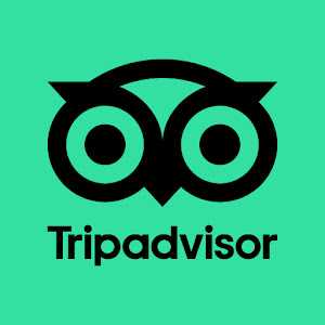 Download Tripadvisor
