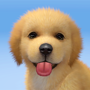 Download My Dog