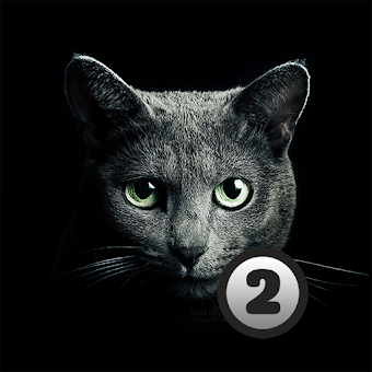 Download Найди кота 2