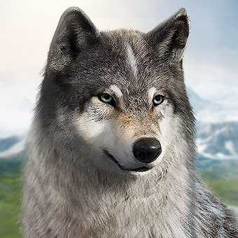 Download Wolf Game